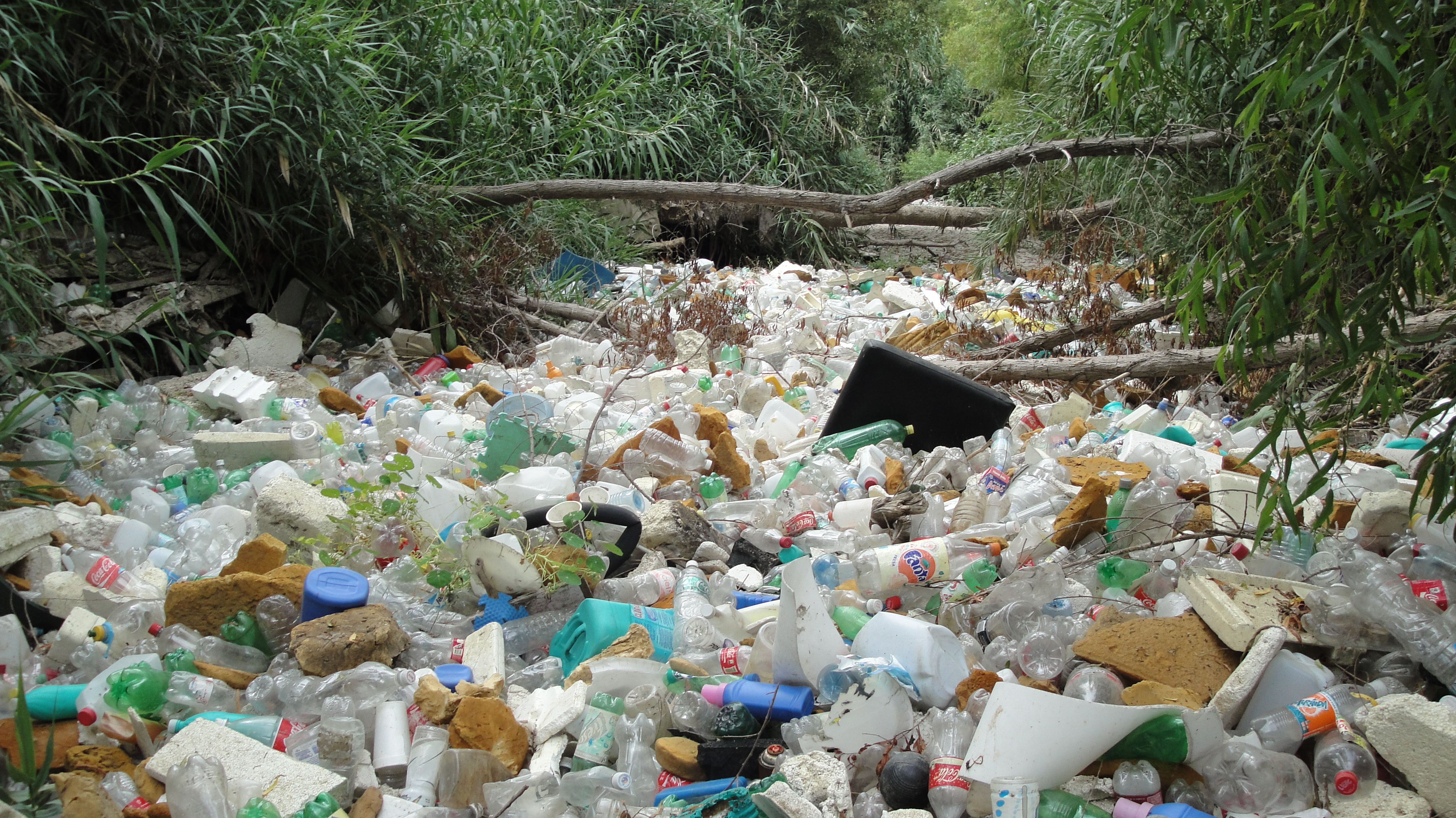Влияние пластиков на окружающую среду. Пластиковые отходы в природе. Воздействие человека на природу. Негативное влияние человека на природу. Плохое влияние на природу.